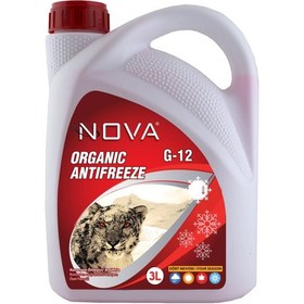 Resim Nova -25 Derece Kırmızı Antifriz 3 Litre- N11.138 
