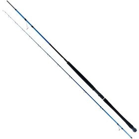 Resim Ryuji Shore Game Fuji Kw 310 Cm 60-150 Gr Shore Jig Kamış Ryjsgfkw310 