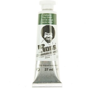 Resim Bob Ross Yağlı Boya Manzara Serisi 37 ML No:6021 Sap Green 