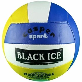 Resim SPT Voleybol Topu 2 Astar 