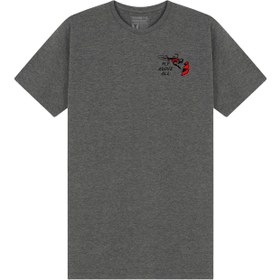 Resim Zero One Fi̇ve Tsss23anfly Unisex Gri Tişört 