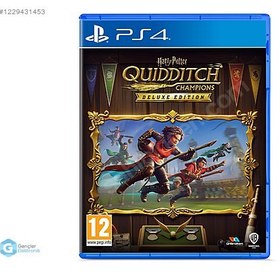 Resim Harry Potter : Quidditch Champions PS4 Oyun 