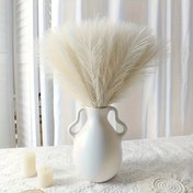 Resim 25'li Paket Yapay Pampas Otu, 42cm Beyaz Serisi 