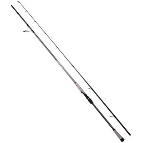 Resim Ryujı Matrıx Fujı 2.80m 25-80 Gr 2p Shore Jıg Kamış 