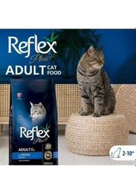 Resim Reflex Plus Adult Somonlu Yetişkin Kedi Maması 15 Kg 