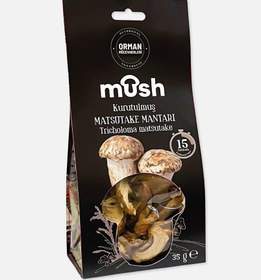 Resim Kurutulmuş Matsutake Mantarı (35 g) 