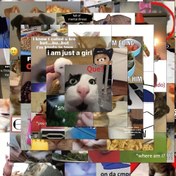 Resim 100 adet Komik Kedi Meme Etiketleri - Papir, Kitaplar, Mektuplar ve Daha Fazlası için Sevimli ve Esnek Kedi Tasarımları - Kedi Sevdalıları için Mükemmel Hediye, Eğlenceli Ofis Aksesuarı ve Yaratıcı Dekorasyon İdeali, Kedi Aksesuarları 