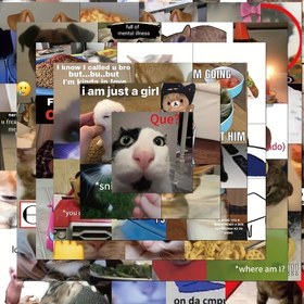 Resim 100 adet Komik Kedi Meme Etiketleri - Papir, Kitaplar, Mektuplar ve Daha Fazlası için Sevimli ve Esnek Kedi Tasarımları - Kedi Sevdalıları için Mükemmel Hediye, Eğlenceli Ofis Aksesuarı ve Yaratıcı Dekorasyon İdeali, Kedi Aksesuarları 