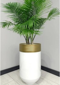 Resim Elegant Dekoratif Eskitme Darbuka Parlak Beyaz Saksı 60cm 