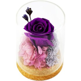 Resim Geeroyoo Romantik Ev Dekoru: Mor Renkli Ölümsüz Gül Ve Yosunlu Cam Kavanoz - Sevgililer Günü Hediyesi 