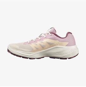 Resim Salomon Alphaglide W Kadın Koşu Ayakkabısı-32157 Krem 