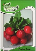 Resim Bykurt Sunagri Fındık Turp Tohumu Kırmızı Cherry 5 Gr - Erkenci, Yaprağı Tüketilebilir Fındık Turp 
