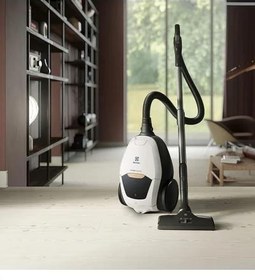 Resim Electrolux PD82-ALRG Toz Torbalı Elektrik Süpürgesi 