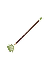 Resim Coloursoft Profesyonel Kuru Boya Kalemi C450 Yellow Green Karışık Çok Renkli 