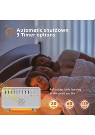 Resim Uyku Sesleri Cihazı & Nemlendirici 15 Farklı Doğal Ses, 250+ Ses Kombinasyonu, Zamanlayıcı Ayarlı 