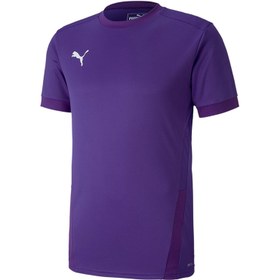 Resim Puma Forma Teamgoal 23 Jersey 