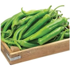 Resim Ata Tohumu Salçalık Közlemelik Kızartmalık Şah Acı Etli Sivri Biber Tohumu 70 Tohum 