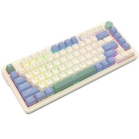 Resim Redragon Ucal Pro K673CPG-RGB-PRO Beyaz Kablosuz Klavye 