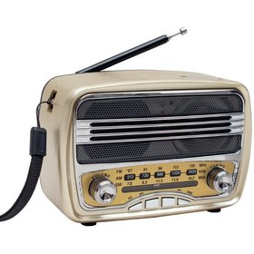 Resim Everton Rt840 Analog Nostalji Radyo 