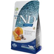 Resim ND Ocean Tahılsız Balık Portakal ve Balkabaklı Kedi Maması 5 Kg 
