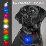 Resim LED Yumurta Işığı - Gece Güvenliği İçin Renkli, Pil Gücüyle Çalışan, İzoleli Köpek ve Kedi Etiketi, Yuvarlak Şekil, PVC Malzeme, Pet Güvenliği Ekipmanı | Canlı Yumurta Işığı | Dayanıklı Köpek Etiketi, Pet Aksesuarları 