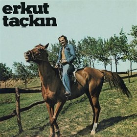 Resim Erkut Taçkın Plak 