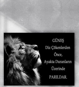 Resim Postermanya Aslan Girişimcilik Poster 4 (90x130cm) 