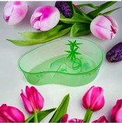 Resim Girist Pet Kaplumbağa Bahçesi Kaplumbağa Havuzu 30 x 21 x 7 CM 