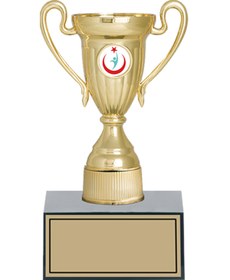 Resim Seftil GN221A Genel Ödül Kupası 22 cm 