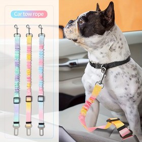 Resim Köpekler için Güvenlik Kemeri, Küçük ve Orta Boy Yavru Köpekler için Araba Koltuğu Aracı, Kediler için Güvenlik Tokası, Dövüş Ayıcık Malzemeleri 