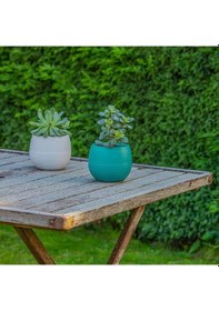 Resim Serinova Elvan Kaktüs Saksısı 0.13 Lt 85750431 