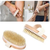 Resim Doğal At Kılı Oval Selüloit Giderici Selülit Fırçası 