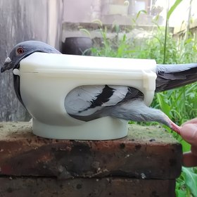 Resim 1 adet Dayanıklı ABS Güvercin Tutucu, Kuş Besleme ve Aşılama Malzemeleri, Kolay Kullanım ve İlaçlama İçin Evcil Kuş Kafesi Aksesuarı 