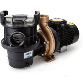 Resim Pahlen WaterVise Havuz Pompası - Monofaze / 0.25 kw 