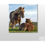 Resim Midilli Çift Kanvas Tablo 