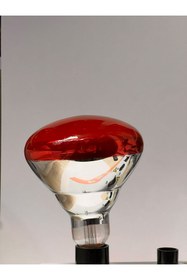 Resim OKYANUSAYD 250 WATT İNFRARED BR40 RED 250 W E27 ISITICILI FİZİK TEDAVİ AMPULÜ 