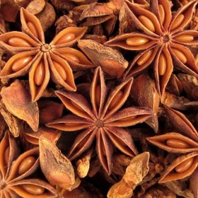 Resim Yıldız Anason (100 Gram) 