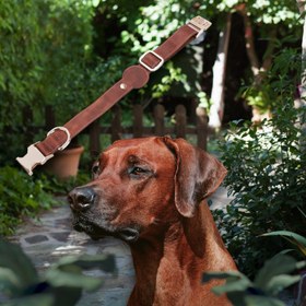 Resim Hakiki Deri, El Yapımı, Apple Airtag Yuvalı Köpek Tasması, 34-50cm Ayarlanabilir Ölçü, Antik Taba 