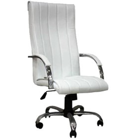 Resim Koltukstilim Diana Makam Koltuğu Diğer 