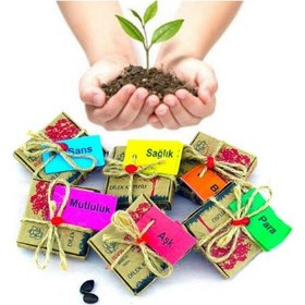 Resim Dilek Tohumları - Para Karışık 