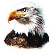 Resim BsElektronik Kartal Sticker Tasarım 
