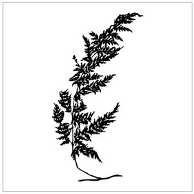 Resim Ağaç Ve Gül Resimleri 100 Cm Folyo Sticker Siyah 