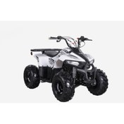 Resim Skyjet 110 CC Off-Road Atv 