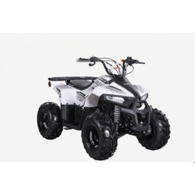 Resim Skyjet 110 CC Off-Road Atv 