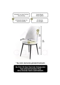 Resim Canisa Concept Dexa Serisi, Üst Kalite Yemek Odası Sandalyesi, Metal Siyah Iskeletli, 6 Adet Füme Sandalye Füme Sandalye 