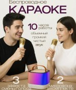 Resim Sparktech İki Mikrofonlu Karaoke Sistemi 470731336 