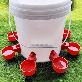 Resim 6 adet Otomatik Pet Su Dağıtıcısı Seti ile Stand, Kırmızı PP Malzeme, Kendi Kendine Doldurulan Besleyici, Tavuklar, Ördekler, Kuşlar için, Elektrik Gerektirmez, Pilsiz 
