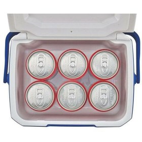 Resim Coleman Performance 5QT Cooler Soğutucu Buzluk - 4.7 Lt 