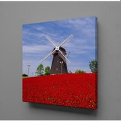 Resim Lale Tarlasında Değirmen Kanvas Tablo 