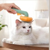 Resim Kabak Tasarımlı Evcil Hayvan Tarağı 